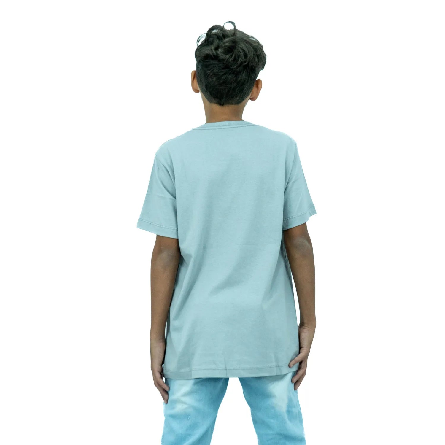 Modelo infantil de costas usando camiseta de algodão premium da Absinto Men, com estampa de carro e coqueiros na cor cinza.