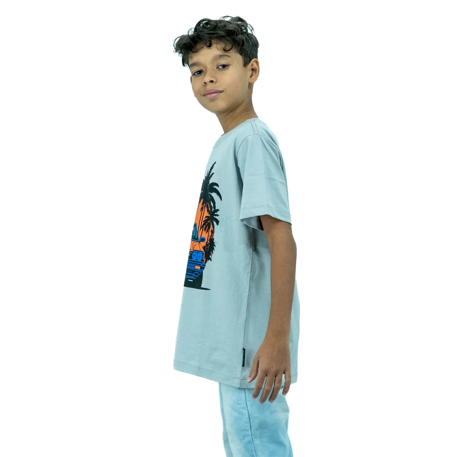 Foto de camiseta infantil de algodão premium, com estampa de carro, da marca Absinto Men na cor cinza.