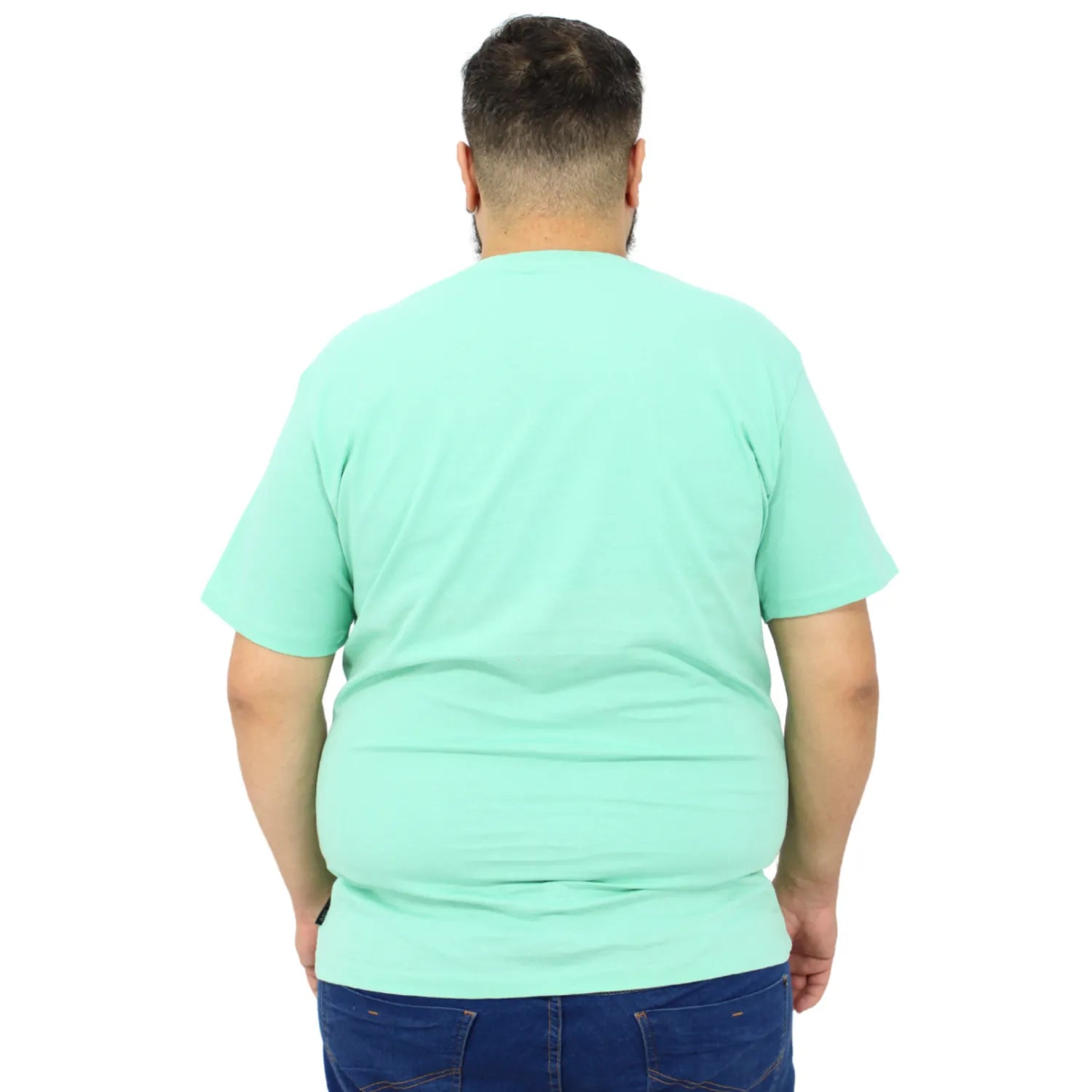Modelo usando camiseta plus size de algodão da Absinto Men, com estampa que remete à Califórnia na cor verde.