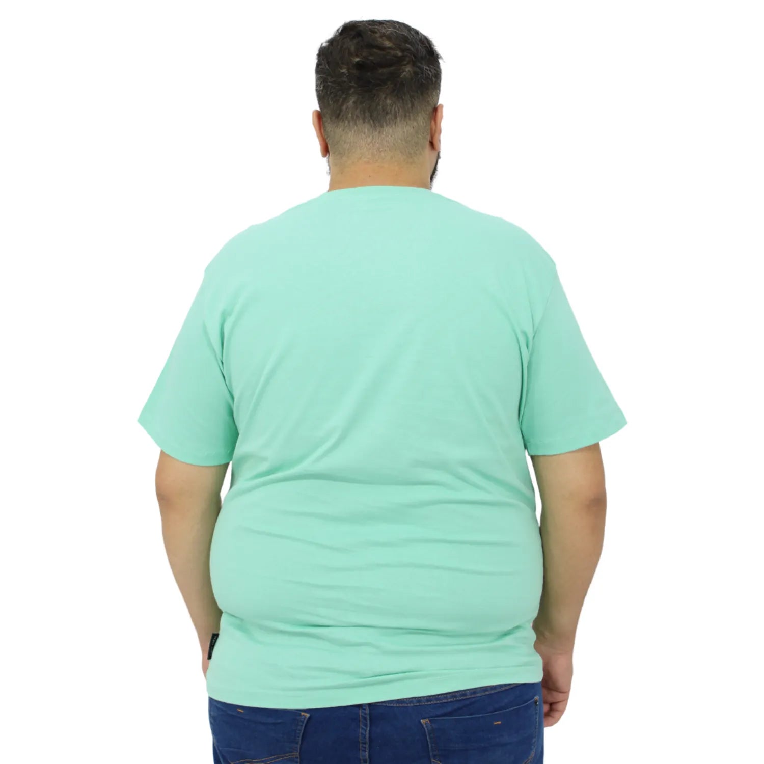 Modelo usando camiseta plus size de algodão premium da Absinto Men, com a estampa "Collection" no peito na cor verde.