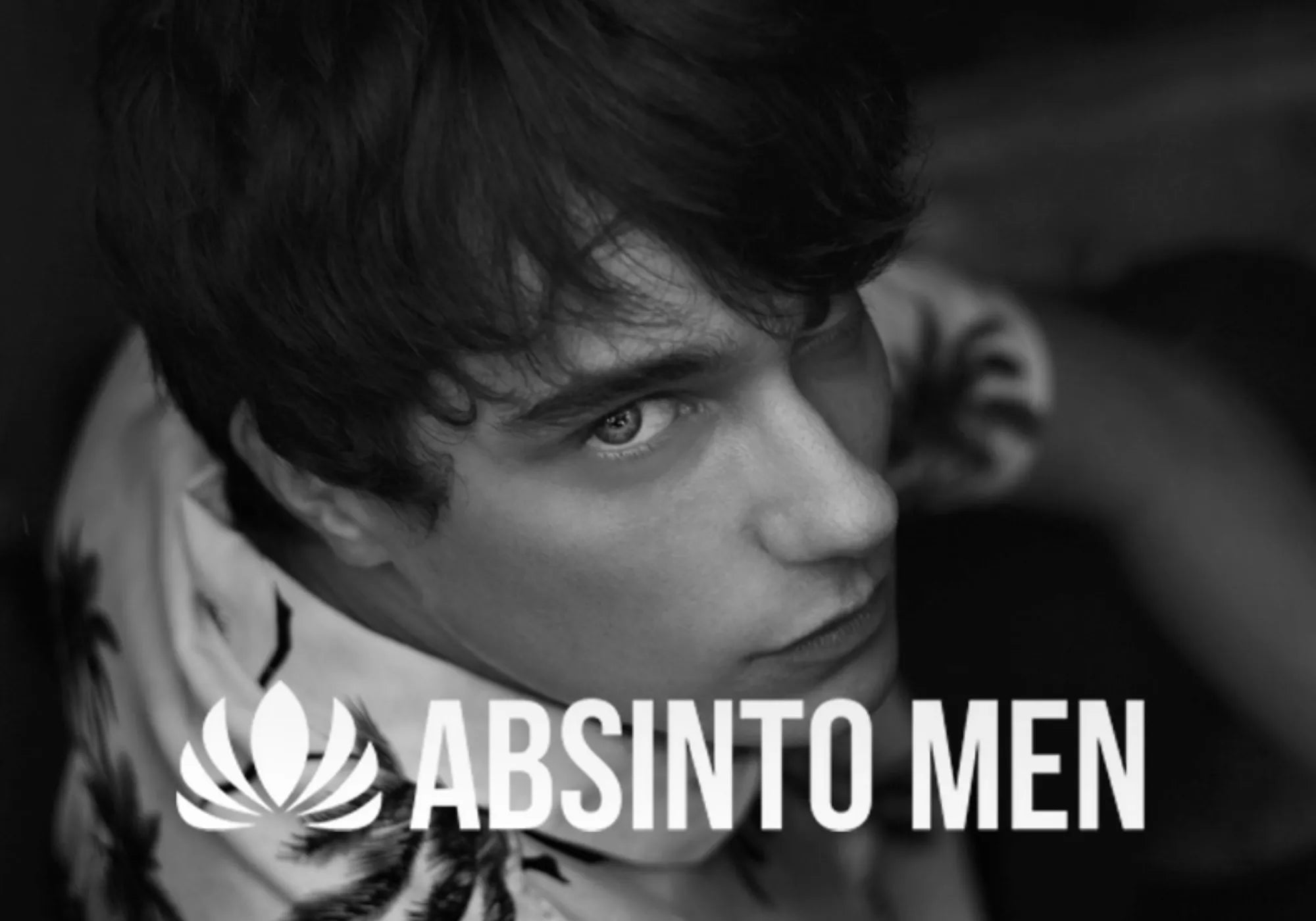 sobre nós absinto men